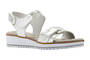 Walking Cradle Halle Silver and White print Sandal in a W and WW Width