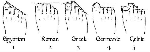 [Image: Foot%20picture(copy).jpg]